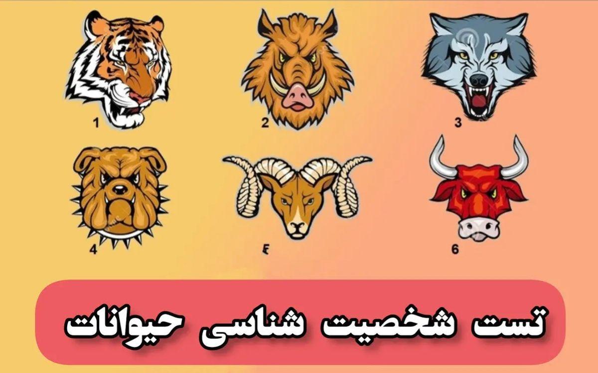 شخصیت شناسی حیوانات| ویژگی شخصیتی از روی حیوان مورد علاقه شما