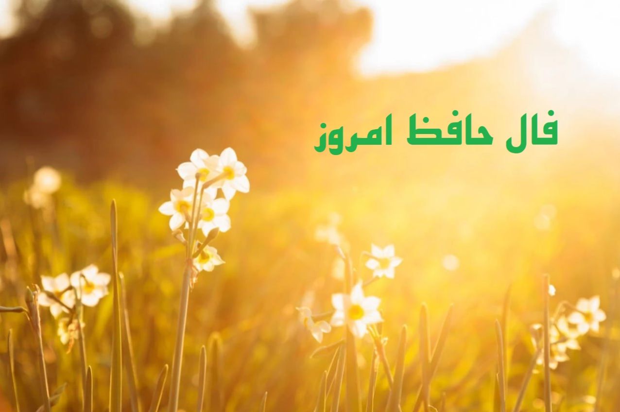 فال حافظ امروز جمعه 3 مرداد 1404 با تفسیر؛ ذات خوب تو باعث موفقیتت در کارها می شود