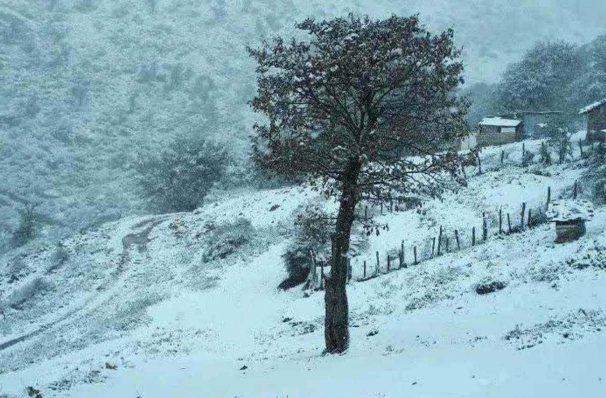 چرا رنگ برف سفید است؟