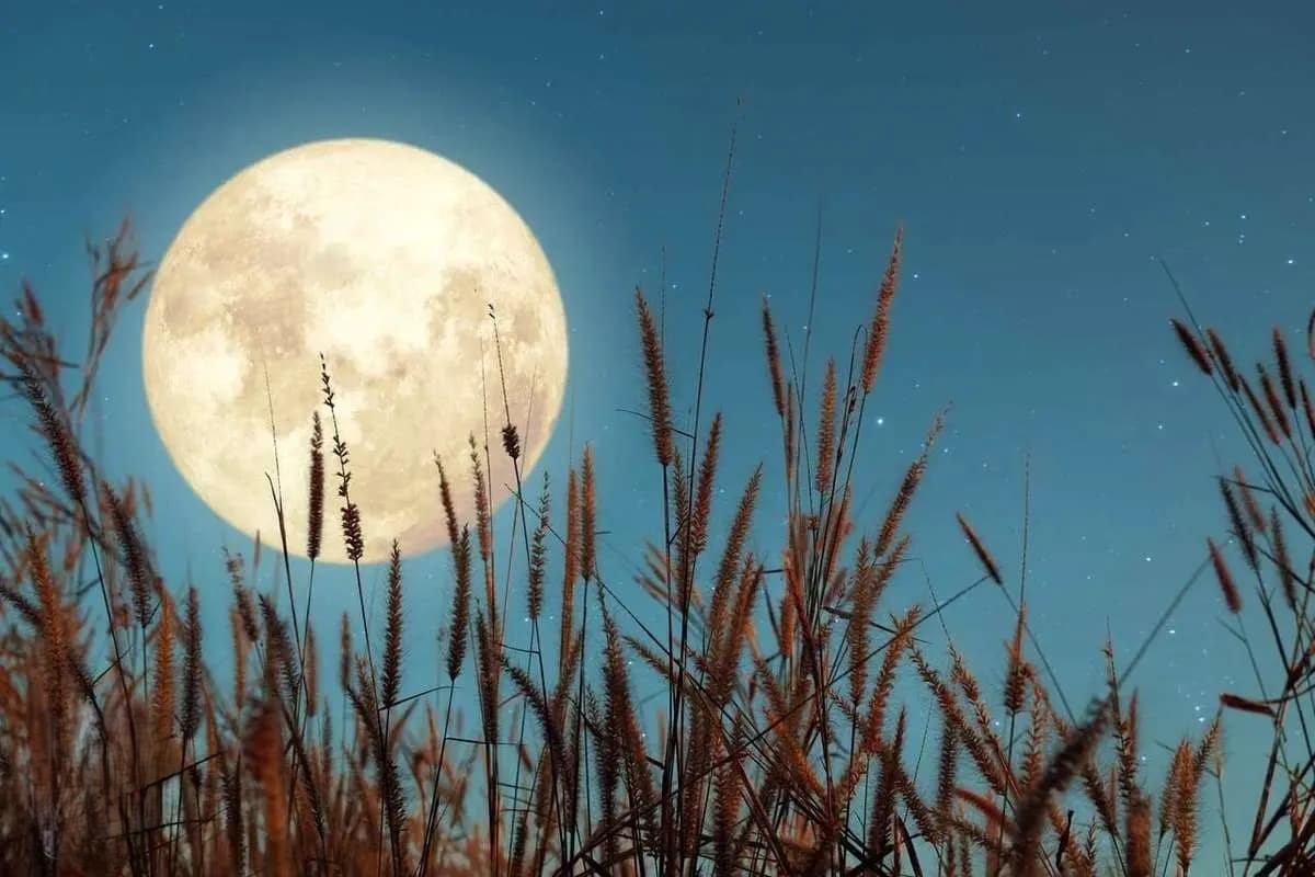 ابرماه طلایی در آسمان ایران طلوع میکند؛ زمان تماشای ماه برداشت را از دست ندهید