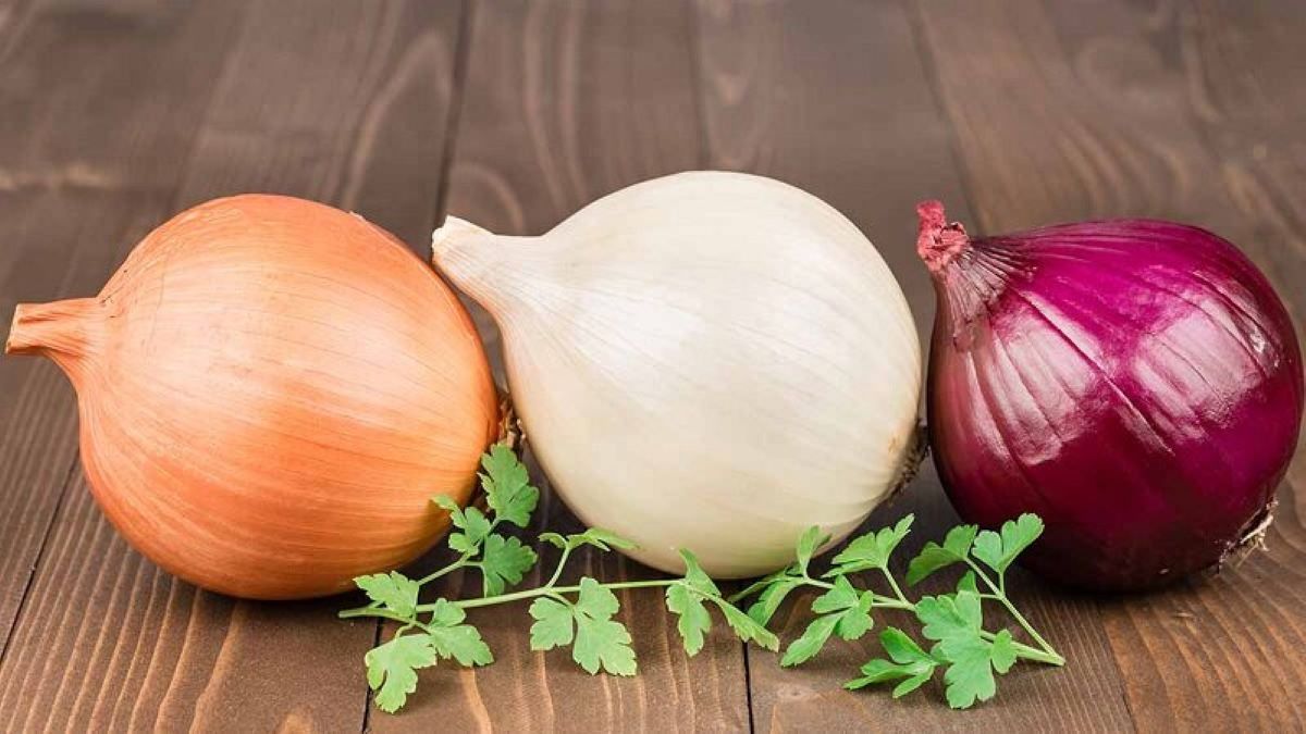 پیاز قرمز بخوریم یا سفید؟ | کدام پیاز برای سلامتی بهتر است؟