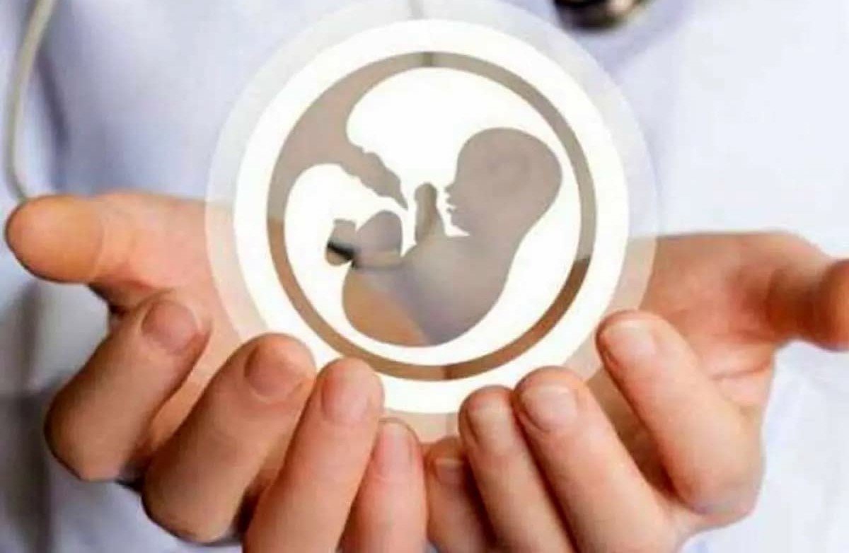 لیست مواد غذایی که باعث سقط جنین می‌شوند | علائم سقط جنین