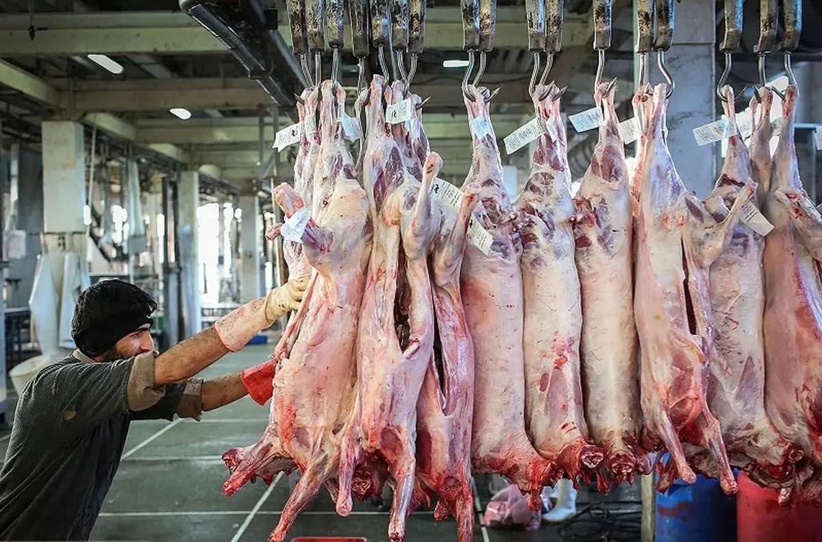 قیمت گوشت قرمز امروز چهارشنبه 28 آبان 1404؛ قیمت گوشت چرخ‌کرده در بازار چند؟