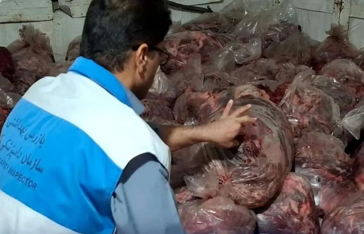 کشف و شناسایی 1500 کیلو گوشت اسب و گاو در این شهر جنوبی