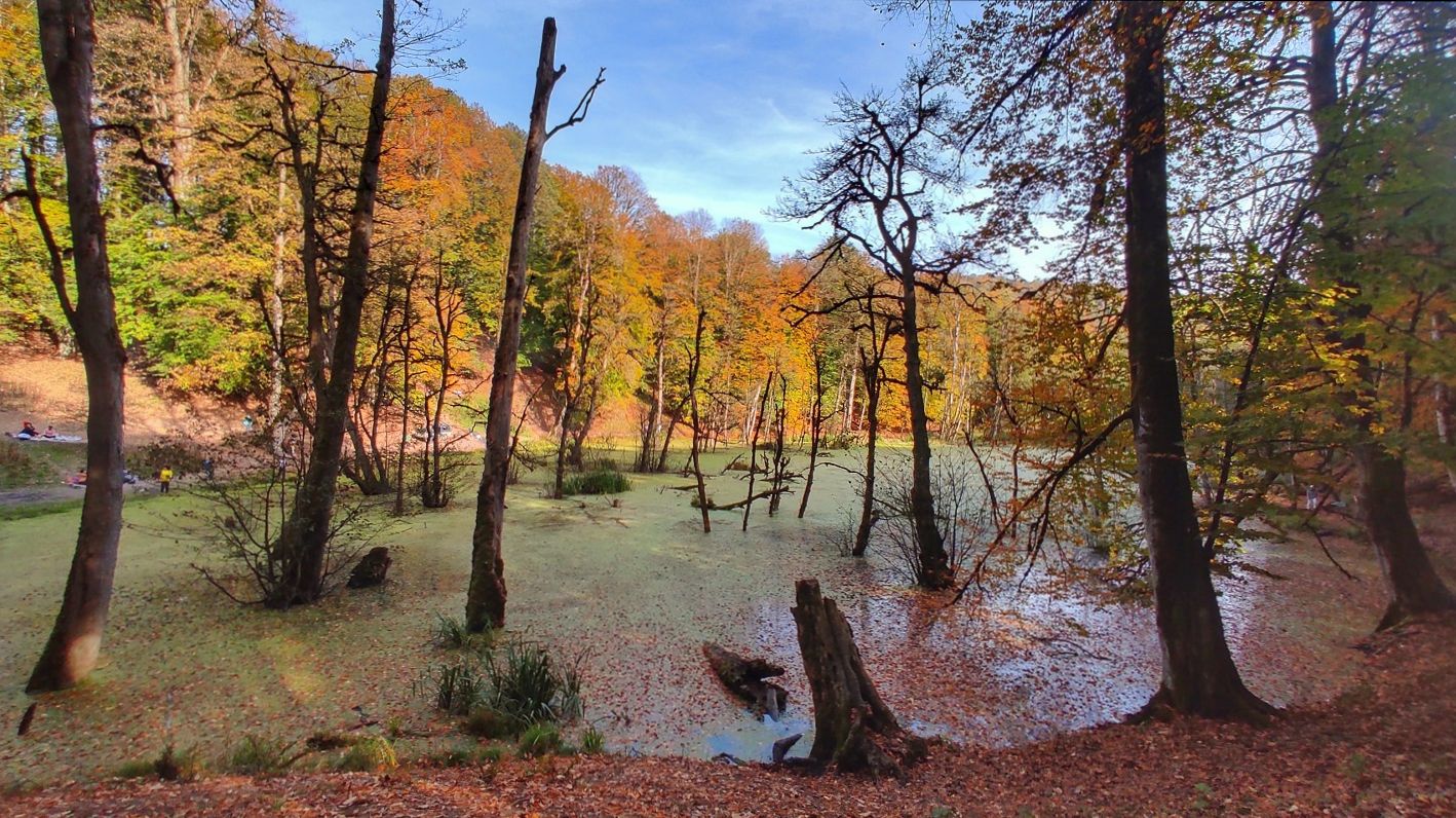 سفر یک روزه پاییزی به مرداب دِریوک | جایی که رنگها با آب آمیخته میشوند؛ مسیر دسترسی