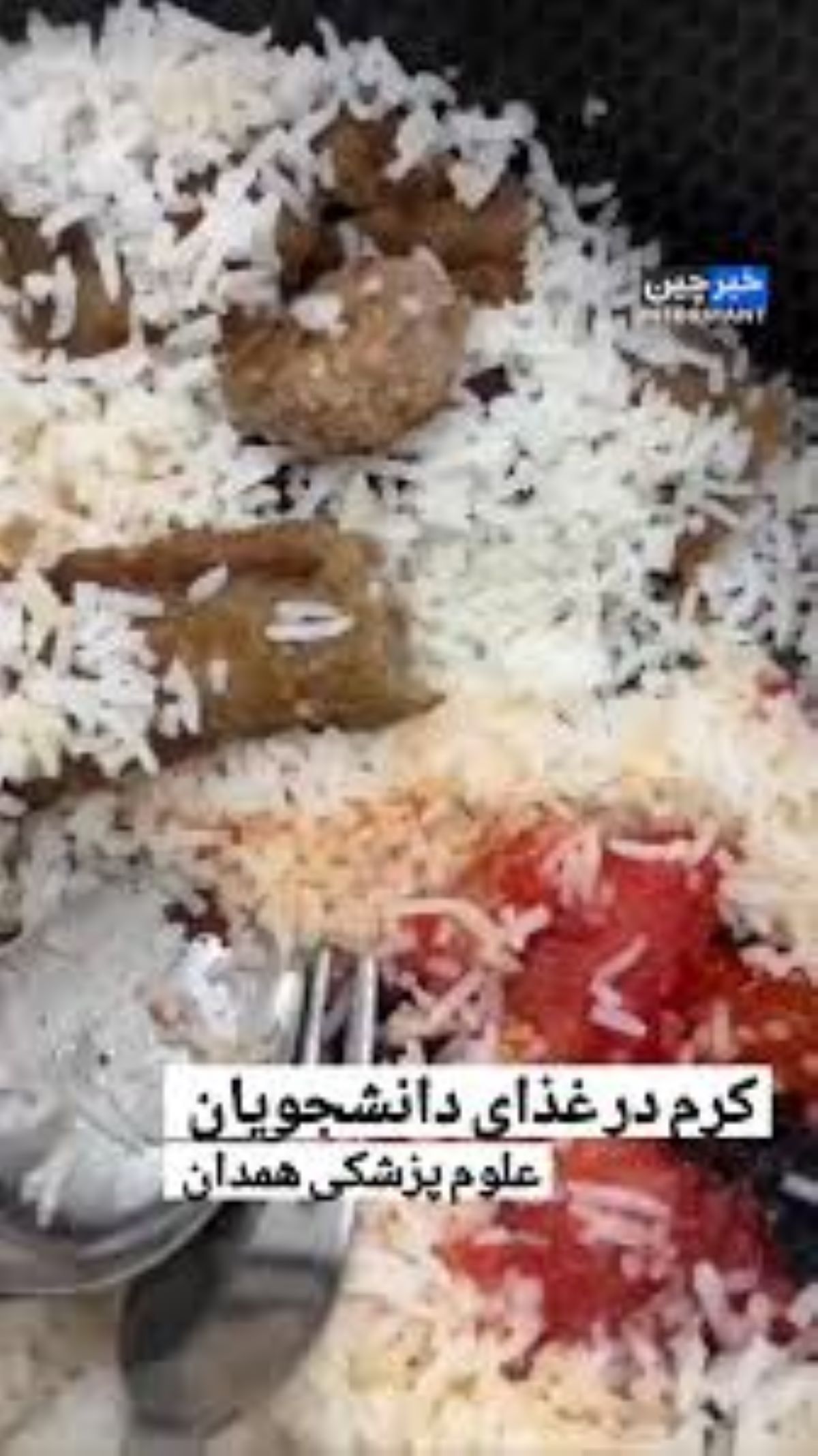 جولان کرم در غذای سلف دانشجویان پزشکی همدان+فیلم