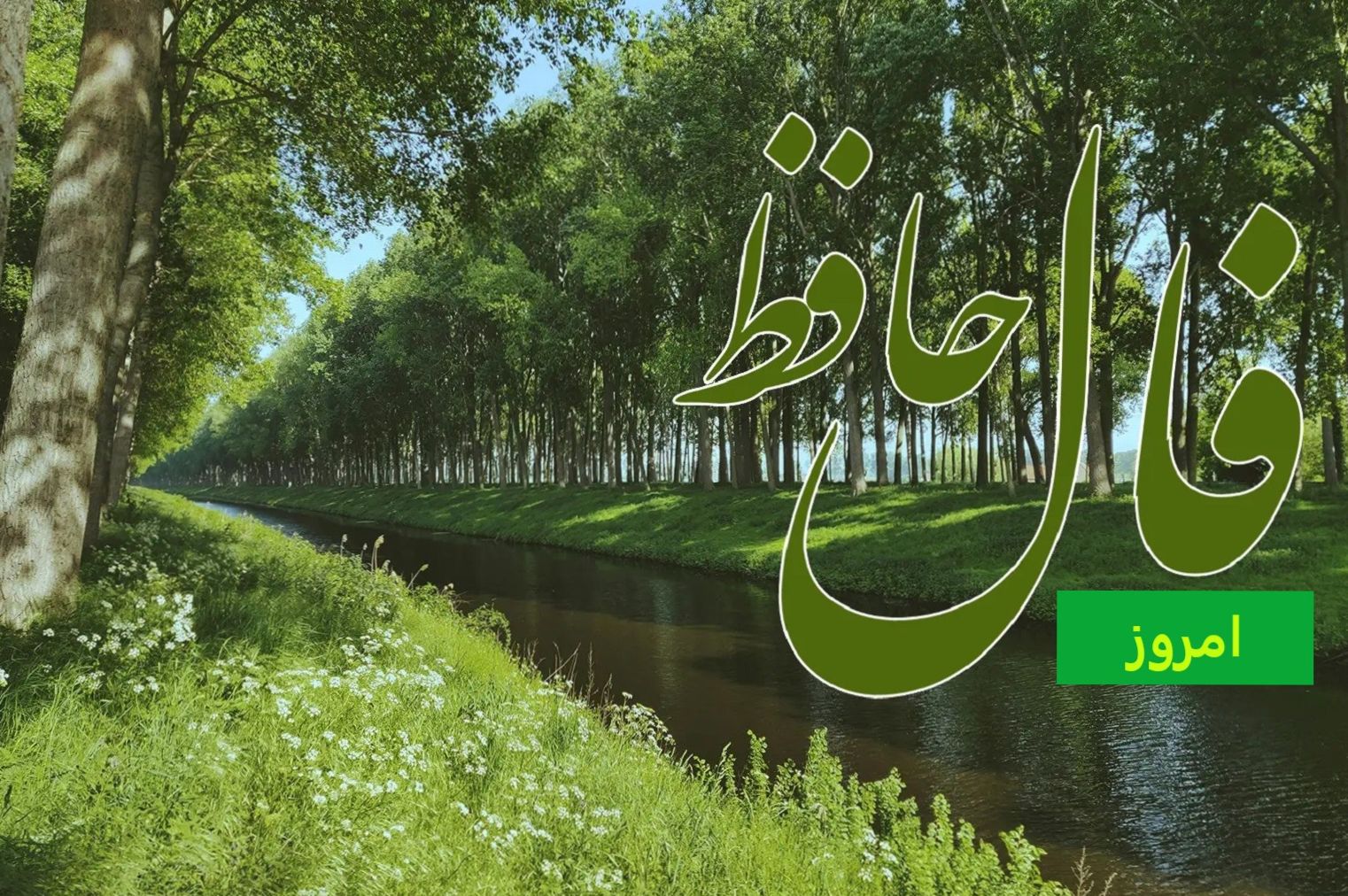 فال حافظ امروز دوشنبه 22 اردیبهشت 1404 با تفسیر کامل؛ در این راه هیچ همدم و همرازی پیدا نمیکنی