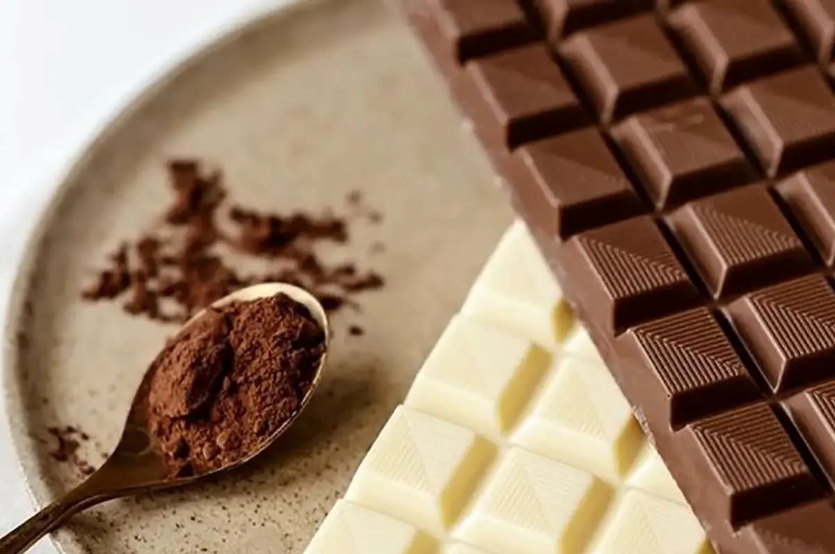 زیاد می‌نشینید؟ کاکائو بخورید تا بدنتان آسیب نبیند!