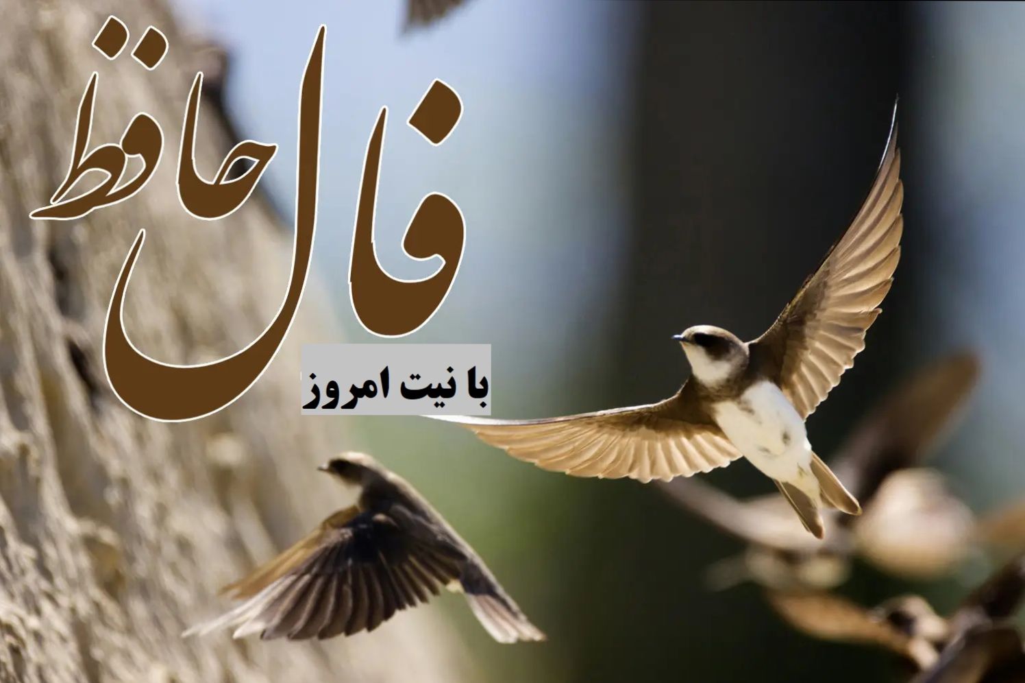 ققنوس از خاکستر اشتباهات برخواست؛ نیت کن با فال حافظ تا دوباره برخیزی | فال حافظ صوتی امروز 11 تیر 1404