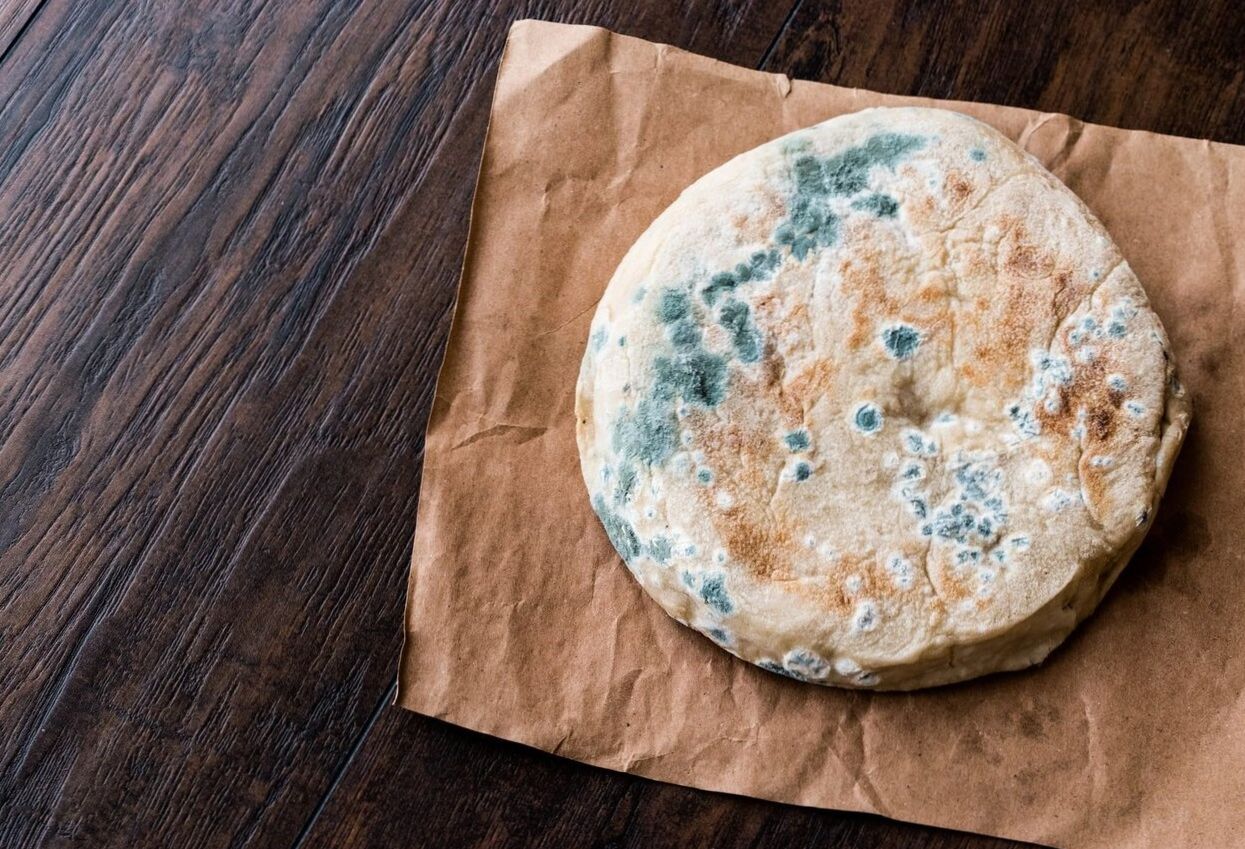 هر کپکی بی‌خطر نیست! ؛ اگر مواد غذایی کپک زده بخوریم چه می‌شود؟